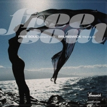 V.A. (FREE SOUL) / オムニバス (FREE SOUL) / フリー･ソウル･ウィンディ･シティ～ブランズウィック･トレジャー / FREE SOUL WINDY-CITY-BRUNSWICK TREASURE