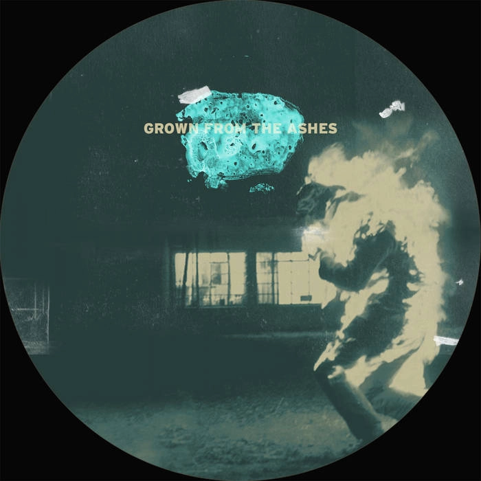 HECTOR OAKS / GROWN FROM THE ASHES