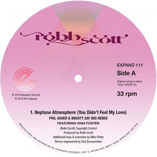 ROBB SCOTT / NEPTUNE ATMOSPHERE (YOU DIDN'T FEEL MY LOVE)