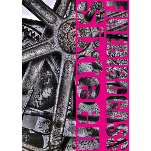FIREBIRDGASS / 2002-2018 DOCUMENTARY DVD "16-Sixteen-"