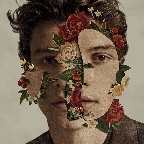 SHAWN MENDES / ショーン・メンデス / SHAWN MENDES (LP)