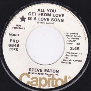STEVE EATON / スティーヴ・イートン / ALL YOU GET FROM LOVE IS A LOVE SONG