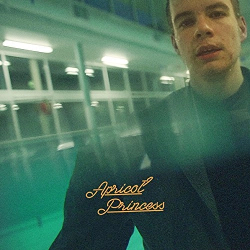 REX ORANGE COUNTY / レックス・オレンジ・カウンティ / APRICOT PRINCESS (LP)