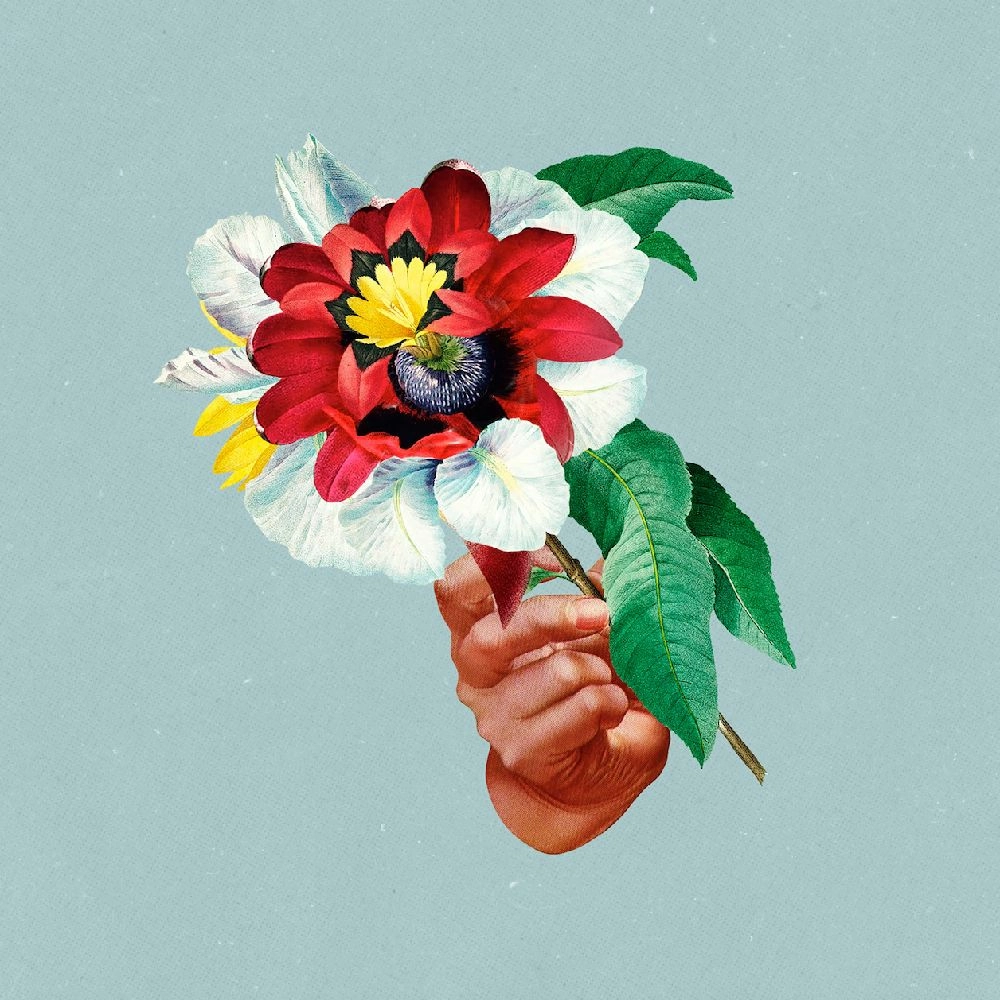 MARIBOU STATE / マリブー・ステート / KINGDOMS IN COLOUR