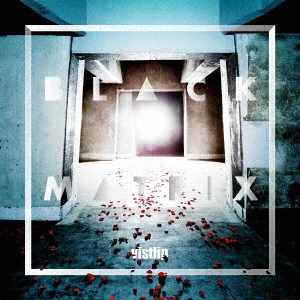 vistlip / BLACK MATRIX(通常vister盤 CD+DVD)