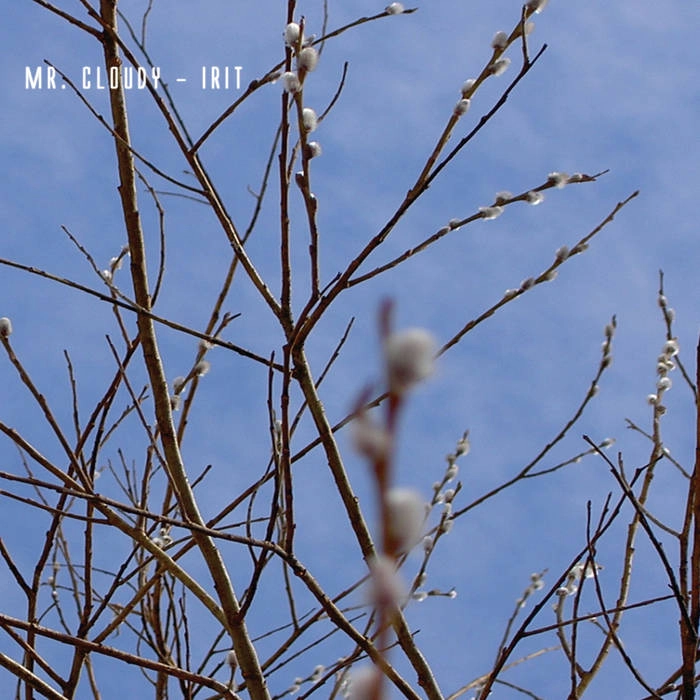 MR.CLOUDY / IRIT