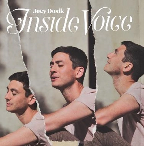 JOEY DOSIK / ジョーイ・ドーシック / INSIDE VOICE (LP/COLOURED VINYL) / INSIDE VOICE  (LP/COLOURED VINYL)