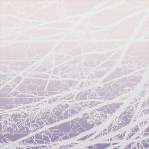 LEA BERTUCCI / METAL AETHER