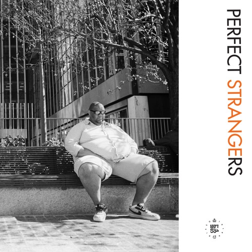V.A.(DISCO HALAL) / PERFECT STRANGERS