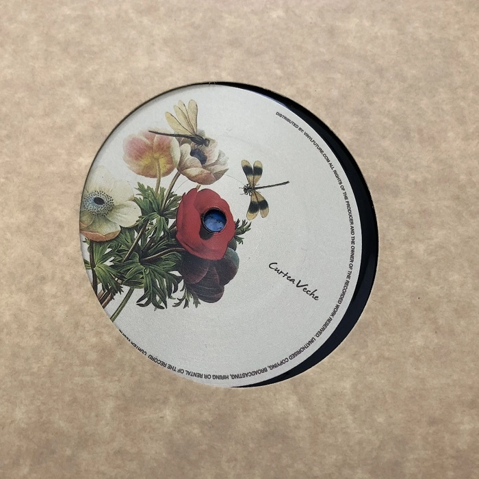 GUY FROM DOWNSTAIRS / RODUL EP