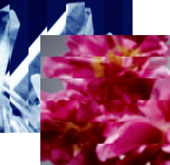 MONDO GROSSO / モンド・グロッソ / 何度でも新しく生まれる＆Attune/ Detune まとめ買いSET