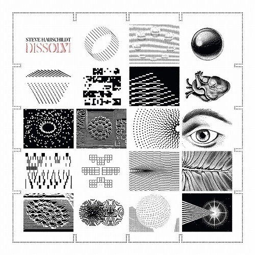 STEVE HAUSCHILDT / スティーヴ・ハウスチャイルド / DISSOLVI (LP/CLOUDY RED VINYL)