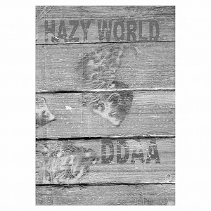 DEFICIT DES ANNEES ANTERIEURES (DDAA) / HAZY WORLD (CD)