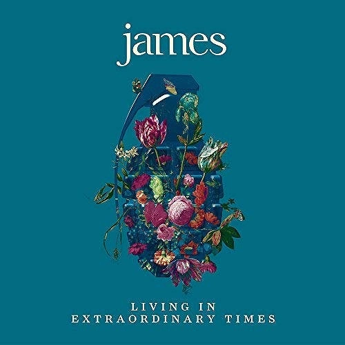 JAMES / ジェイムズ / LIVING IN EXTRAORDINARY TIMES (2LP/180G)