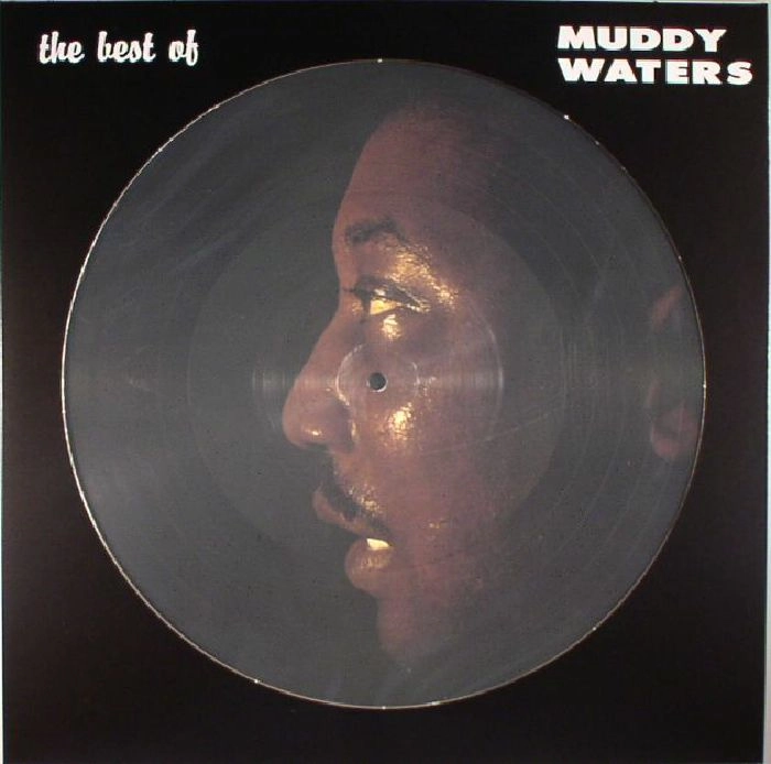 MUDDY WATERS / マディ・ウォーターズ / THE BEST OF MUDDY WATERS (PICTURE DISC)