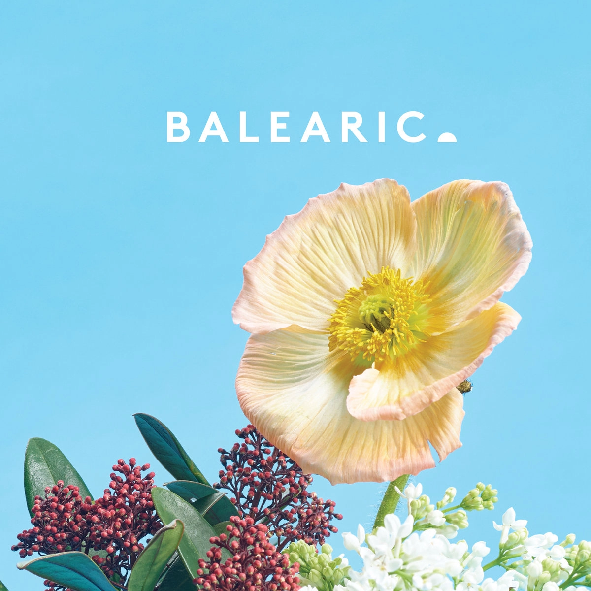 V.A.(BALEARIC) / BALEARIC 4