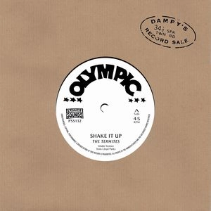 TERMITES / ターマイツ / SHAKE IT UP