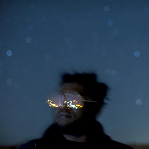 BRANDON COLEMAN / ブランドン・コールマン / RESISTANCE