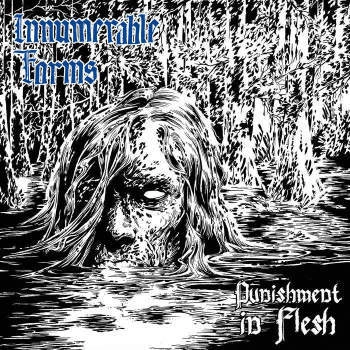 INNUMERABLE FORMS / PUNISHMENT MADE FLESH<LP>