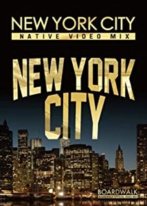 V.A. / オムニバス / NEW YORK CITY -NATIVE VIDEO MIX-