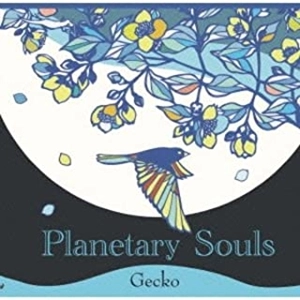Gecko / Planetary Souls