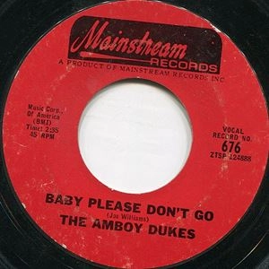 AMBOY DUKES / アンボイ・デュークス / BABY PLEASE DON'T GO