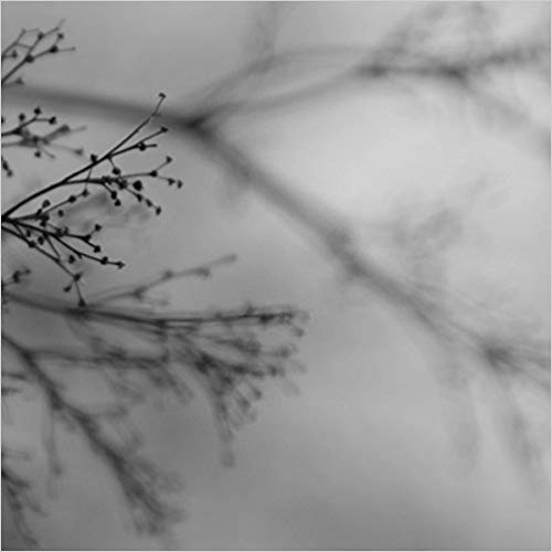 DAKOTA SUITE, DAG ROSENQVIST & EMANUELE ERRANTE / WHAT MATTERS MOST (LP/180G/TRANSPARENT VINYL)