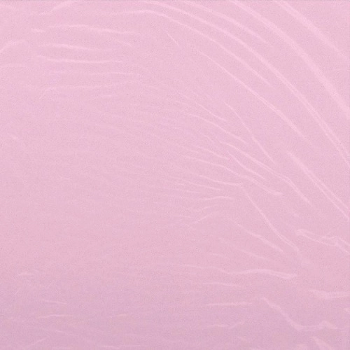 CAM'RON / THE PROGRAM