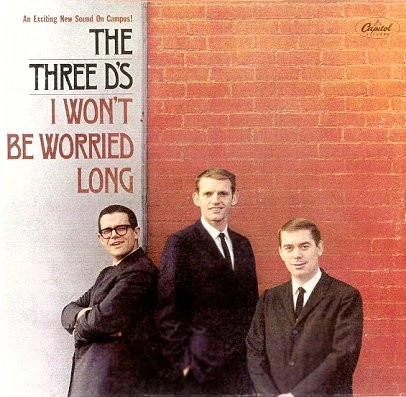 THREE D'S / I WON'T BE WORRIED LONG
