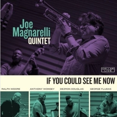 JOE MAGNARELLI / ジョー・マグナレリ / IF YOU COULD SEE ME NOW