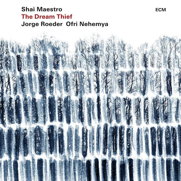 SHAI MAESTRO / シャイ・マエストロ / DREAM THIEF