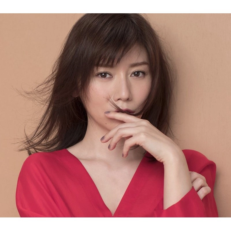 JUN SHIBATA / 柴田淳 / ブライニクル