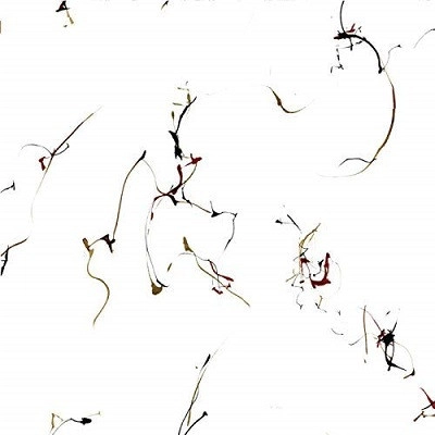 WINGED SERPENTS / SIX ENCOMIUMS FOR CECIL TAYLOR