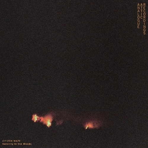 CITIZEN MAZE / SERENITY IN THE WOODS EP