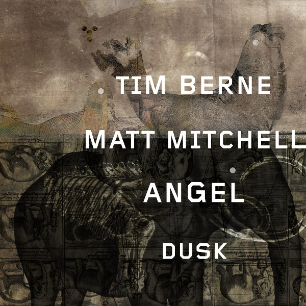 TIM BERNE / ティム・バーン / ANGEL DUSK