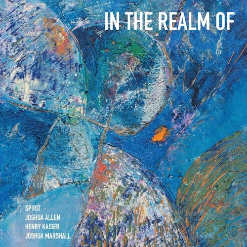 SPIRIT(HENRY KAISER) / In The Realm Of