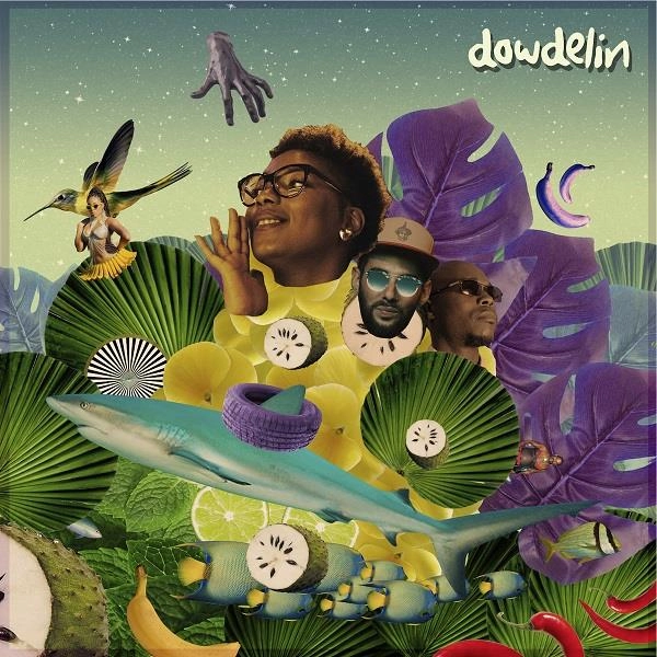 DOWDELIN / ドウデリン / カルナバル･オデッセイ / CARNAVAL ODYSSEY