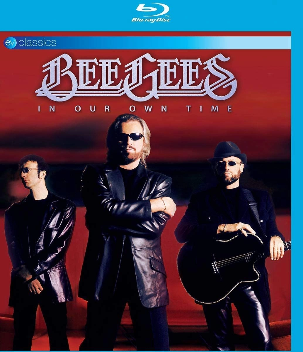 BEE GEES / ビー・ジーズ / IN OUR OWN TIME