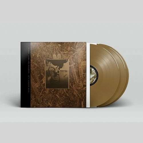PIXIES / ピクシーズ / COME ON PILGRIM - IT'S SURFER ROSA (3LP/BRONZE VINYL)