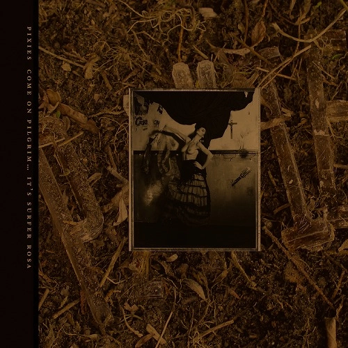 PIXIES / ピクシーズ / カム・オン・ピルグリム - イッツ・サーファー・ローザ (3CD)  / COME ON PILGRIM - IT'S SURFER ROSA