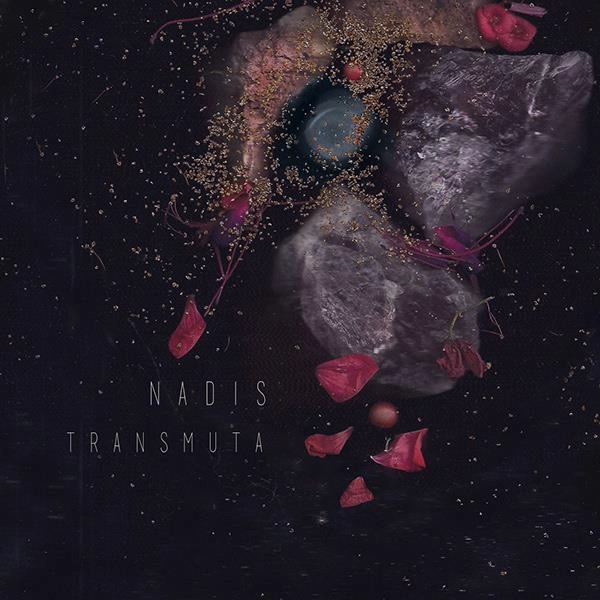 NADIS / ナディス / トランスムータ / TRANSMUTA