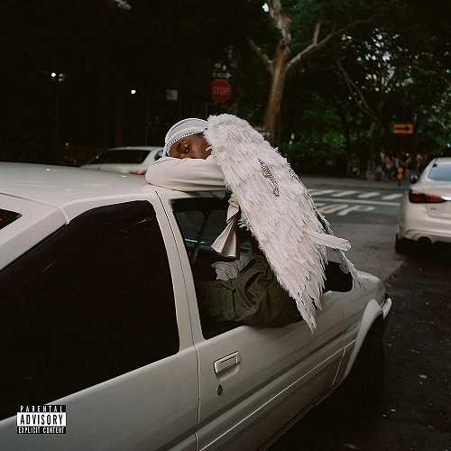 BLOOD ORANGE / ブラッド・オレンジ / NEGRO SWAN (2LP)