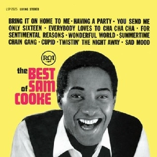 SAM COOKE / サム・クック / BEST OF SAM COOKE (2018 VINYL)