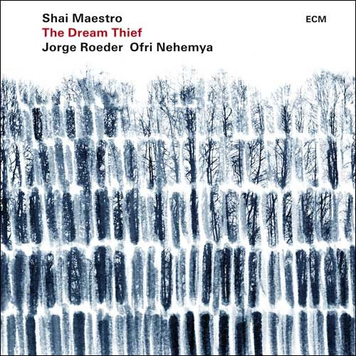 SHAI MAESTRO / シャイ・マエストロ / ドリーム・シーフ / DREAM THIEF