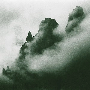 MASSIMO TONIUTTI / マッシモ・トニウッティ / IL MUSEO SELVATICO (2LP)
