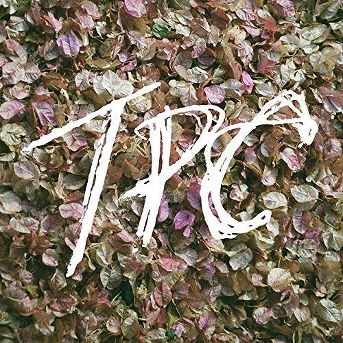 TOKYO POLICE CLUB / トーキョー・ポリス・クラブ / TPC (LP)