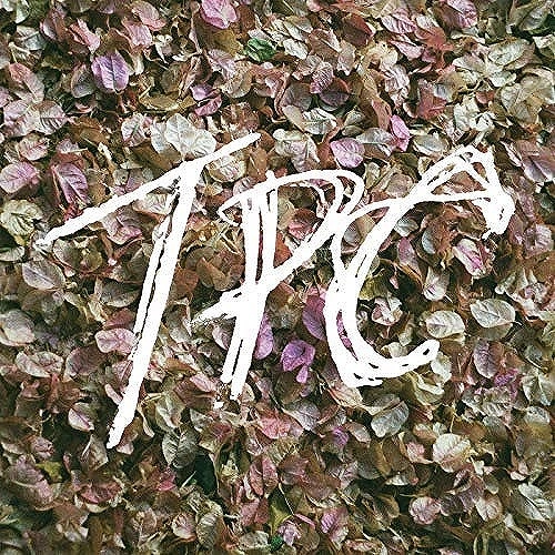 TOKYO POLICE CLUB / トーキョー・ポリス・クラブ / TPC (LP/COLOURED VINYL)