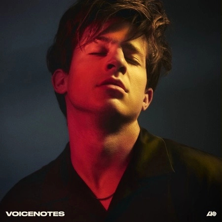 CHARLIE PUTH   / チャーリー・プース  / VOICENOTES (VINYL)