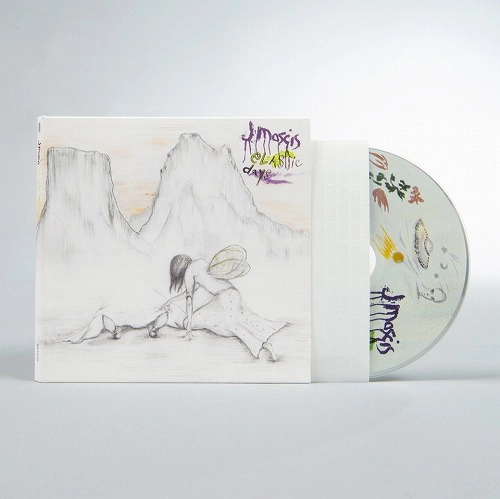 J MASCIS / ジェイ・マスキス / ELASTIC DAYS