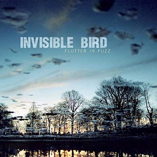 INVISIBLE BIRD / Flutter To Fuzz